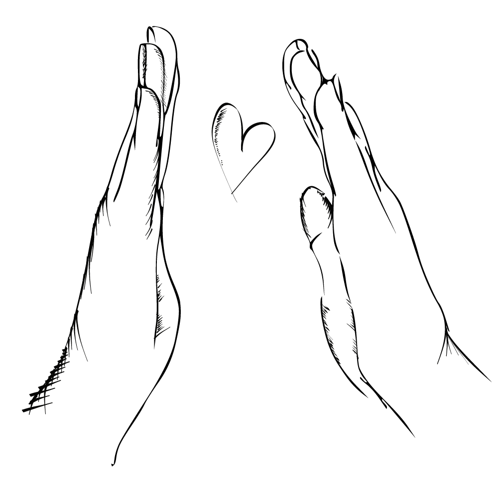 familien­alltag mit <span class="font-type-wide font-weight-light">Leichtigkeit meistern</span>